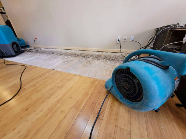 Professional Structural Drying technician working in Amboy, MN